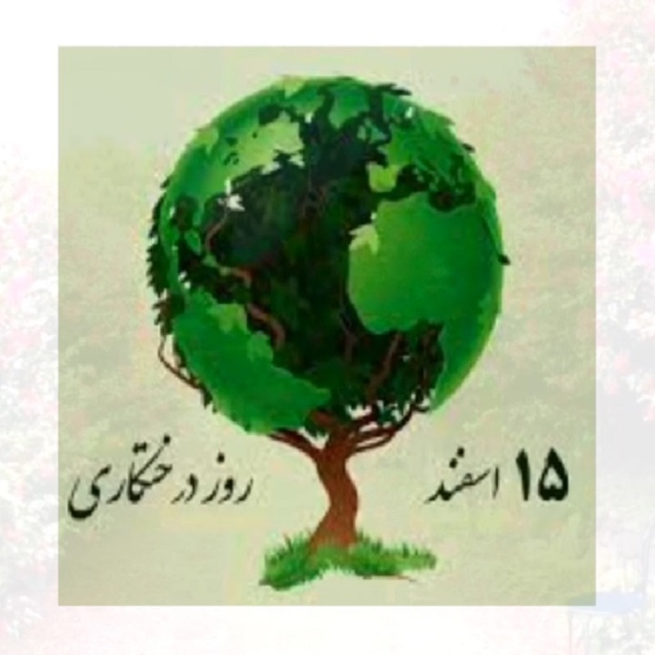 مناسبت ها و جشن ها
