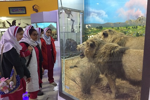 دبستان آیین زندگی موزه
