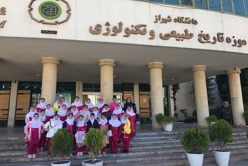 بازدید موزه