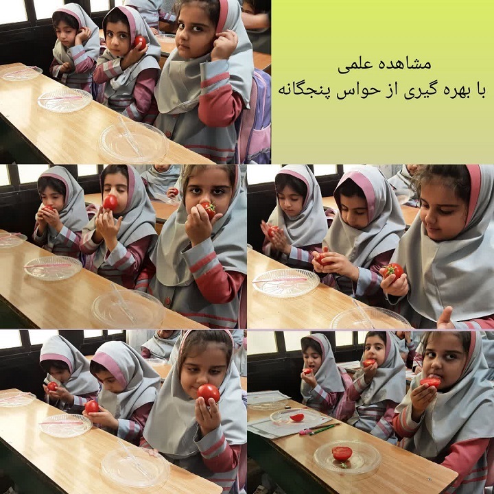 دبستان آیین زندگی