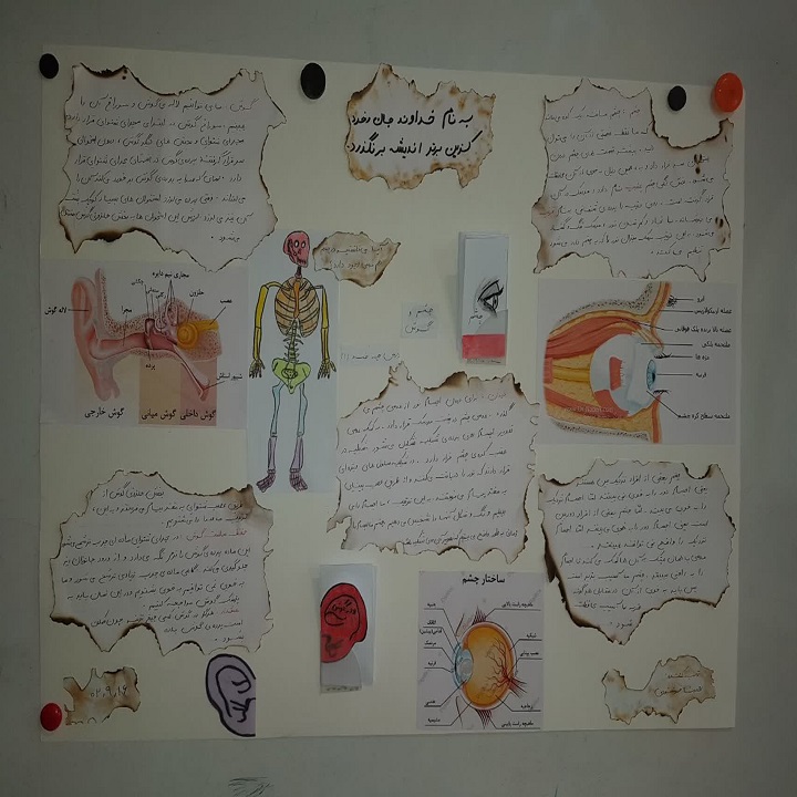 کنفرانس علوم