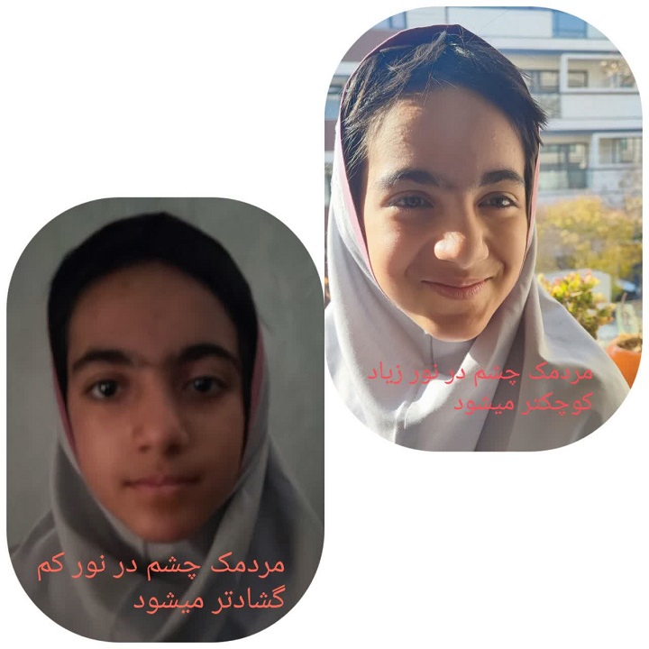 دبستان آیین زندگی