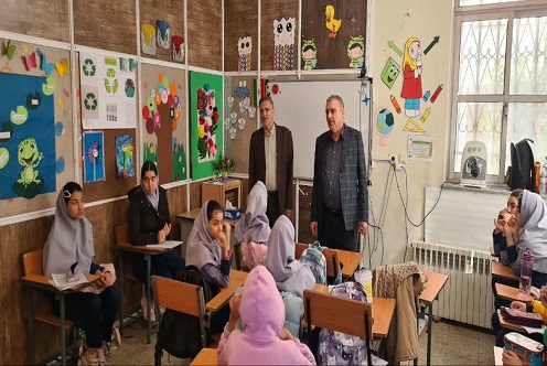 بازدید