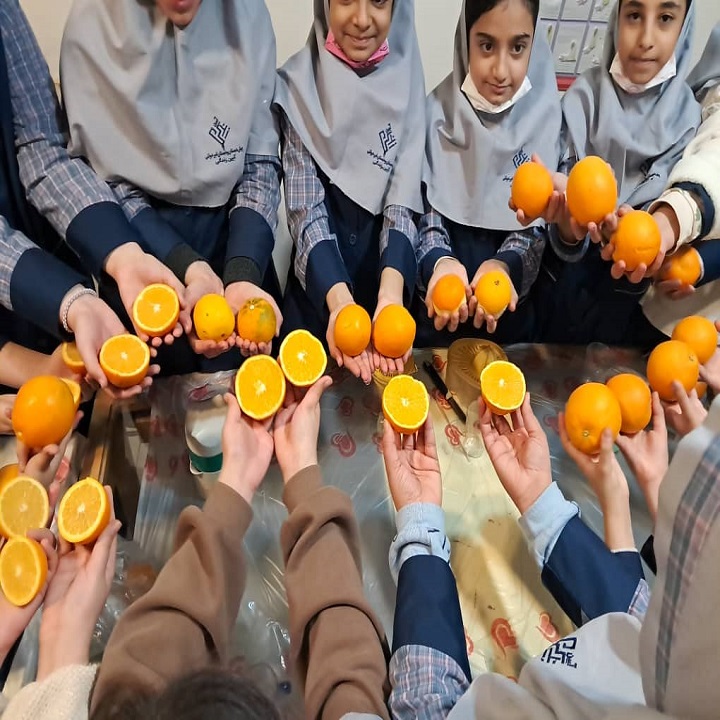 جشنواره ویتامین سی